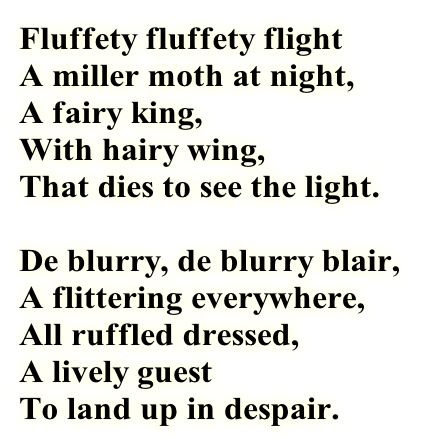 Fluffety fluffety flight
A miller moth at night,
A fairy king,
With hairy wing,
That dies to see the light.

De blurry, de blurry blair,
A flittering everywhere,
All ruffled dressed,
A lively guest
To land up in despair.
