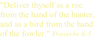 "Deliver thyself as a roe 
from the hand of the hunter, 
and as a bird from the hand 
of the fowler." Proverbs 6:5
