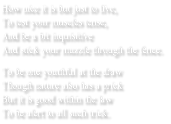 How nice it is but just to live,
To test your muscles tense,
And be a bit inquisitive
And stick your muzzle through the fence.
To be one youthful at the draw
Though nature also has a prick
But it is good within the law
To be alert to all such trick.
